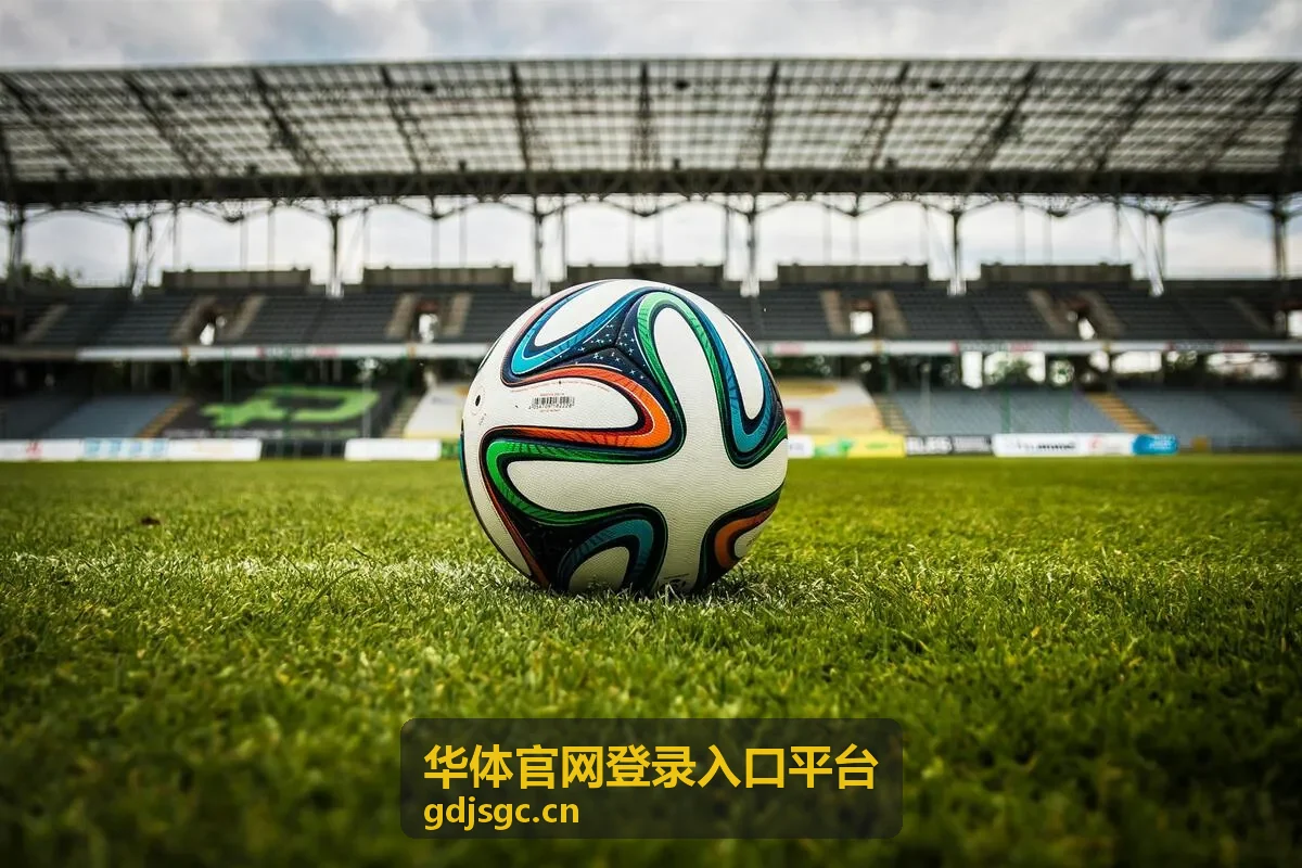 华体官网登录入口平台账号安全与验证栏目封面