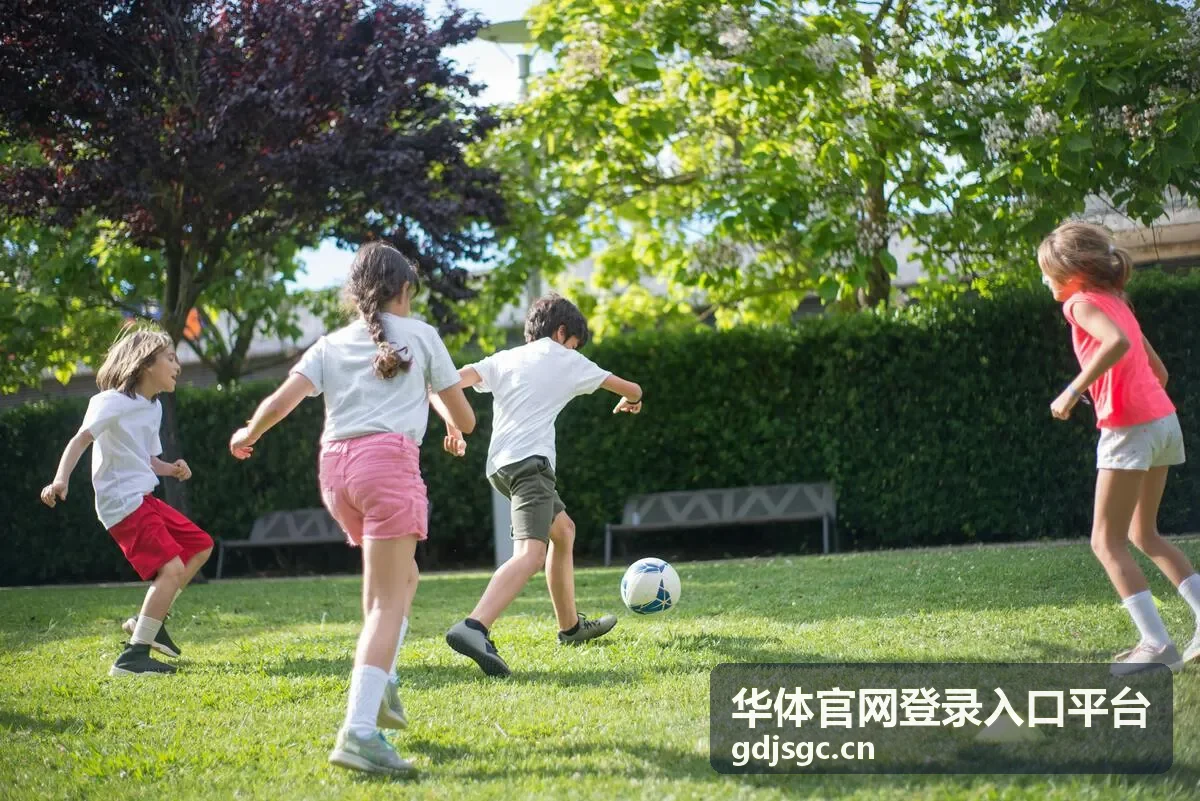 华体官网登录入口平台安全设置栏目封面
